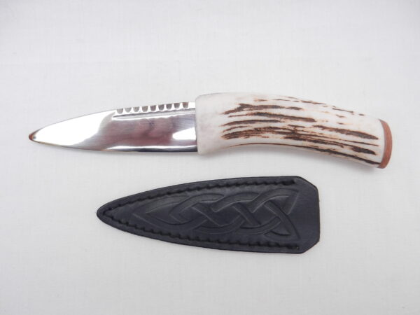 Natural Sgian Dubh in Scottish Red Deer Stag Antler and Burr Wych Elm