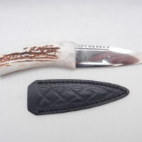 Natural Sgian Dubh in Scottish Red Deer Stag Antler and Burr Wych Elm