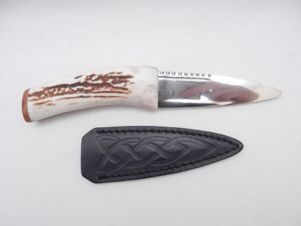 Natural Sgian Dubh in Scottish Red Deer Stag Antler and Burr Wych Elm