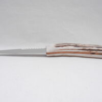 Natural Sgian Dubh in Scottish Red Deer Stag Antler and Burr Wych Elm