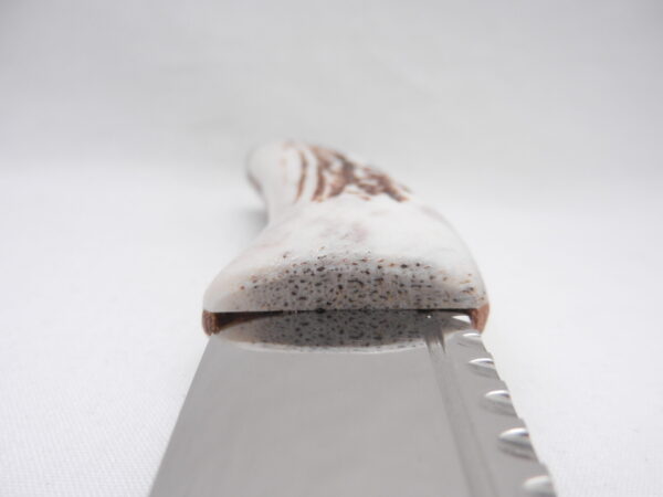 Natural Sgian Dubh in Scottish Red Deer Stag Antler and Burr Wych Elm