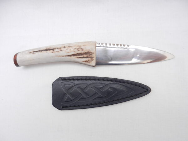 DSCN3484 Natural Sgian Dubh in Red Deer Antler and Snakewood, kilt knife, Scottish gift, wedding gift, groom gift, best man gift, mens gift
