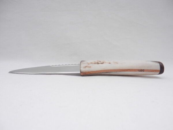 DSCN3486 Natural Sgian Dubh in Red Deer Antler and Snakewood, kilt knife, Scottish gift, wedding gift, groom gift, best man gift, mens gift
