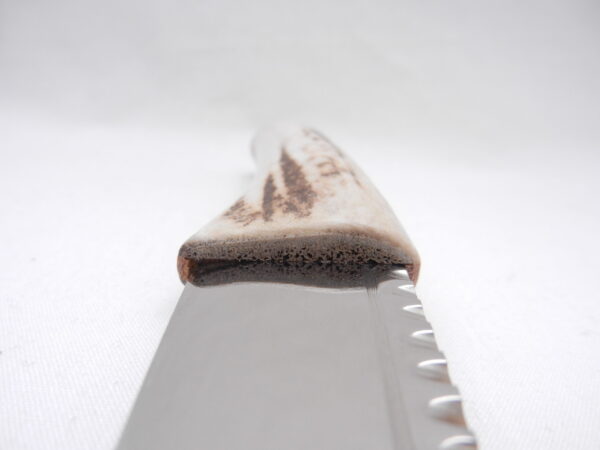 DSCN3488 Natural Sgian Dubh in Red Deer Antler and Snakewood, kilt knife, Scottish gift, wedding gift, groom gift, best man gift, mens gift