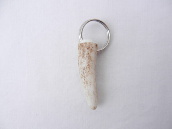 DSCN3522 Scottish Red Deer Antler Bottle Opener with Keyring