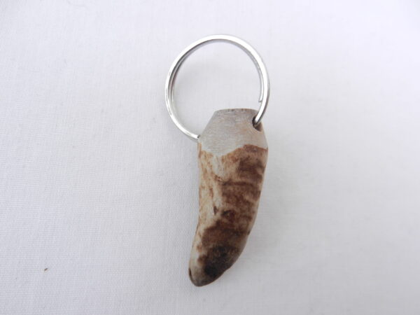 Scottish Red Deer Antler Bottle Opener with Keyring