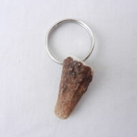 DSCN3545 Scottish Red Deer Antler Bottle Opener with Keyring