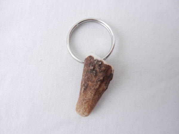 DSCN3545 Scottish Red Deer Antler Bottle Opener with Keyring