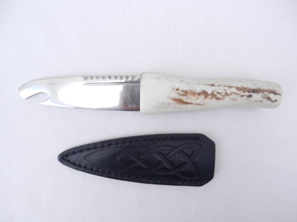 DSCN3573 Natural Sgian Brew in Red Deer Stag Antler with Wych Elm centre