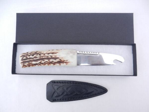 DSCN3585 Natural Sgian Brew in Red Deer Stag Antler with Wych Elm centre