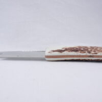 DSCN3588 Natural Sgian Brew in Red Deer Stag Antler with Wych Elm centre