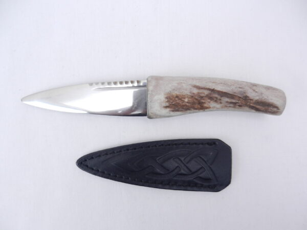 DSCN3601 Natural Sgian Dubh in Scottish Red Deer Antler with Wych Elm centre