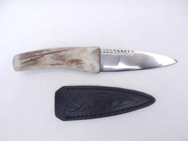 DSCN3602 Natural Sgian Dubh in Scottish Red Deer Antler with Wych Elm centre