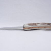 DSCN3603 Natural Sgian Dubh in Scottish Red Deer Antler with Wych Elm centre