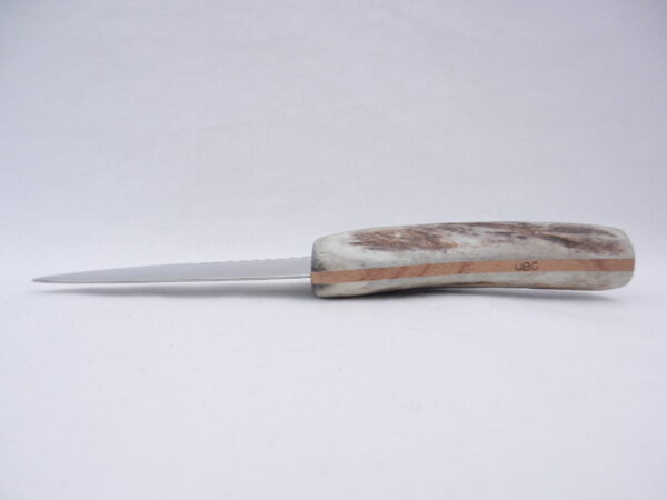 DSCN3603 Natural Sgian Dubh in Scottish Red Deer Antler with Wych Elm centre