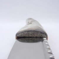 DSCN3606 Natural Sgian Dubh in Scottish Red Deer Antler with Wych Elm centre