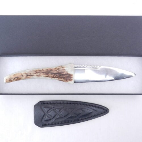 Natural Sgian Dubh in Scottish Red Deer Antler with Wych Elm centre