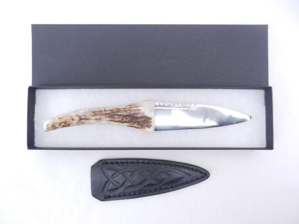 Natural Sgian Dubh in Scottish Red Deer Antler with Wych Elm centre