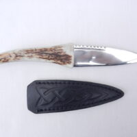 Natural Sgian Dubh in Scottish Red Deer Antler with Wych Elm centre
