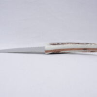 Natural Sgian Dubh in Scottish Red Deer Antler with Wych Elm centre