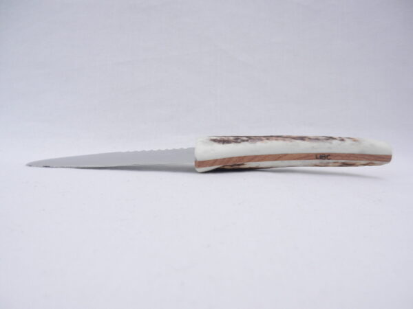 Natural Sgian Dubh in Scottish Red Deer Antler with Wych Elm centre