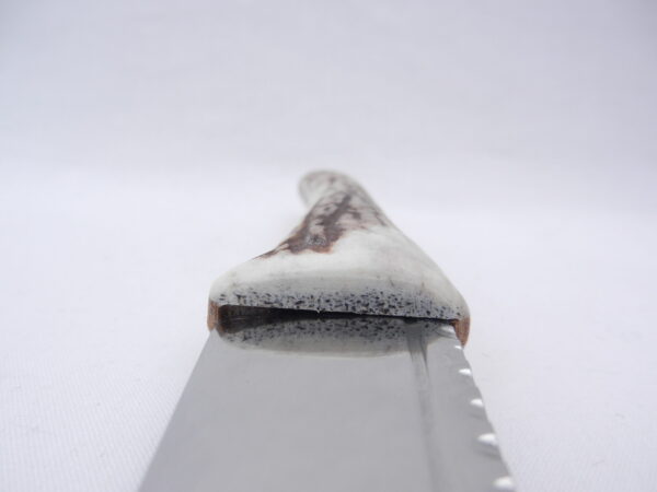 Natural Sgian Dubh in Scottish Red Deer Antler with Wych Elm centre