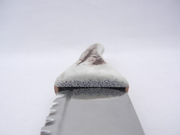 Natural Sgian Dubh in Scottish Red Deer Antler with Wych Elm centre