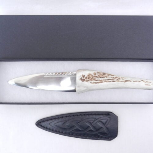 Natural Sgian Dubh in Scottish Red Deer Antler with Wych Elm centre