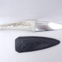 DSCN3616 Natural Sgian Dubh in Scottish Red Deer Antler with Wych Elm centre