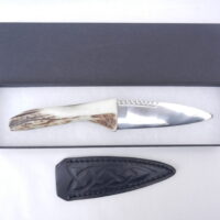 DSCN3621 Natural Sgian Dubh in Scottish Red Deer Antler with Wych Elm centre