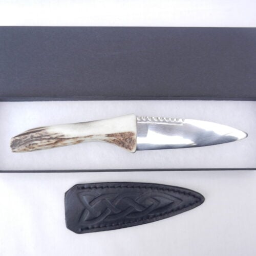 Natural Sgian Dubh in Scottish Red Deer Antler with Wych Elm centre