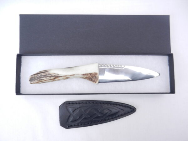 DSCN3621 Natural Sgian Dubh in Scottish Red Deer Antler with Wych Elm centre