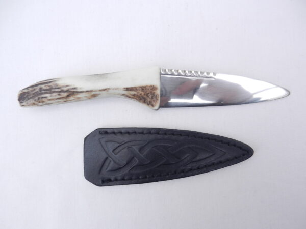 DSCN3622 Natural Sgian Dubh in Scottish Red Deer Antler with Wych Elm centre