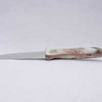 DSCN3624 Natural Sgian Dubh in Scottish Red Deer Antler with Wych Elm centre