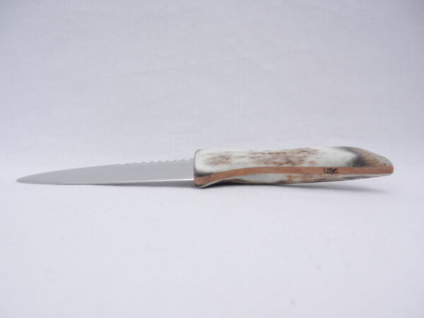 DSCN3624 Natural Sgian Dubh in Scottish Red Deer Antler with Wych Elm centre