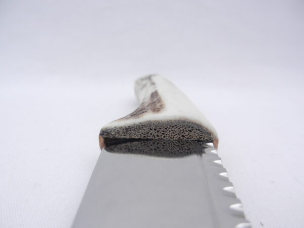 DSCN3626 Natural Sgian Dubh in Scottish Red Deer Antler with Wych Elm centre