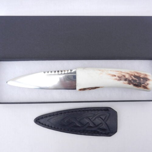 Natural Sgian Dubh in Scottish Red Deer Antler with Wych Elm centre