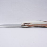 Natural Sgian Dubh in Scottish Red Deer Antler with Wych Elm centre