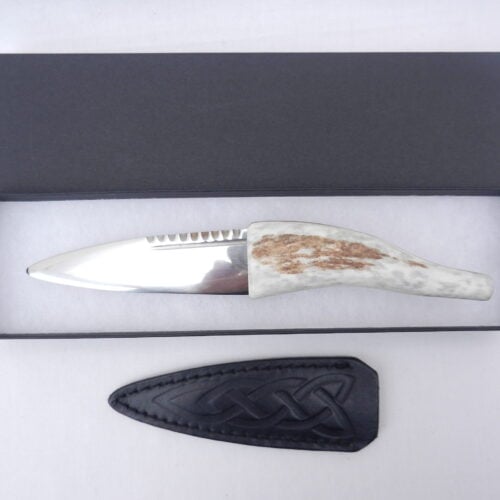 Natural Sgian Dubh in Scottish Red Deer Antler with Wych Elm centre