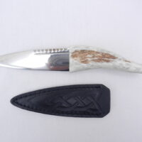 DSCN3636 Natural Sgian Dubh in Scottish Red Deer Antler with Wych Elm centre