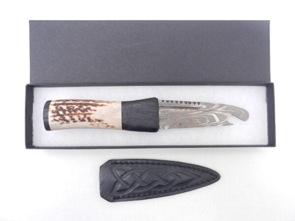 Natural Red Deer Antler and Scottish Bog Oak Damascus Sgian Brew, Scottish gift, antler gift, wedding gift, groom gift