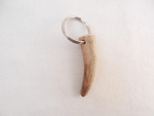 DSCN4062 Scottish Red Deer Antler Bottle Opener with Antler key ring, Scottish gift, antler gift