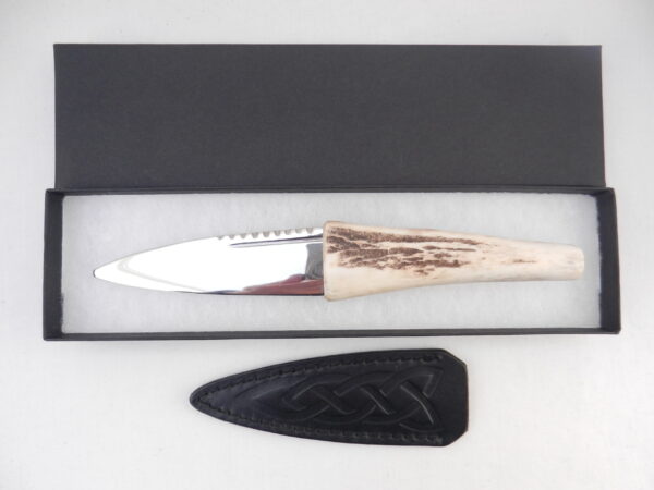 DSCN4116 Natural Sgian Dubh in Scottish Red Deer Antler with Wych Elm centre