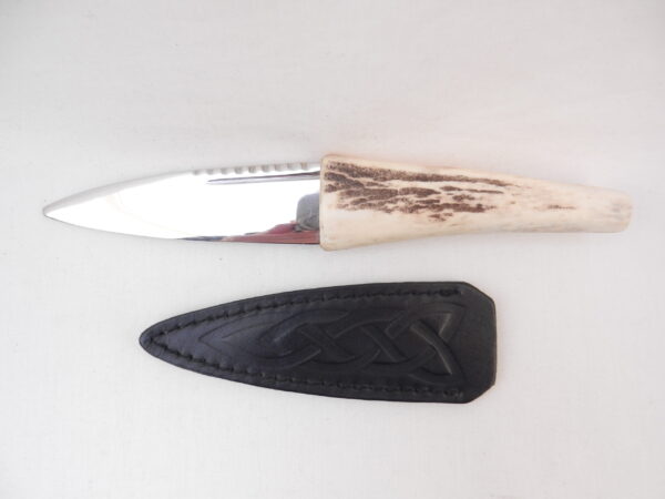 DSCN4117 Natural Sgian Dubh in Scottish Red Deer Antler with Wych Elm centre