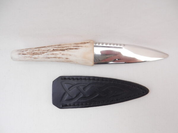 DSCN4118 Natural Sgian Dubh in Scottish Red Deer Antler with Wych Elm centre