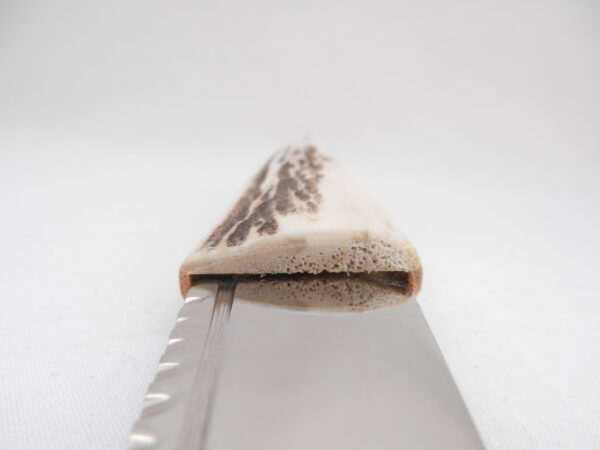DSCN4121 Natural Sgian Dubh in Scottish Red Deer Antler with Wych Elm centre