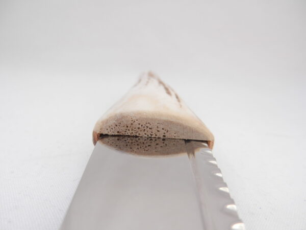 DSCN4122 Natural Sgian Dubh in Scottish Red Deer Antler with Wych Elm centre