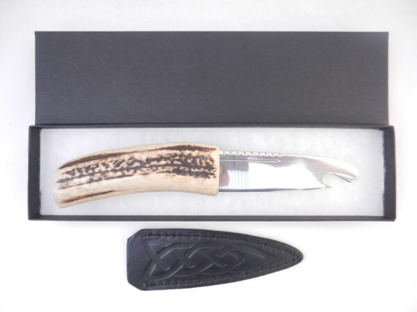 Natural Sgian Brew in Red Deer Stag Antler with Wych Elm centre