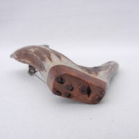 DSCN3874 Scottish Roe Buck Antler Kilt Pin with Burr Wych Elm