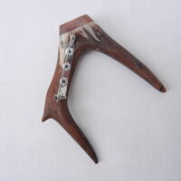 DSCN3877 Scottish Roe Buck Antler Kilt Pin with Burr Wych Elm